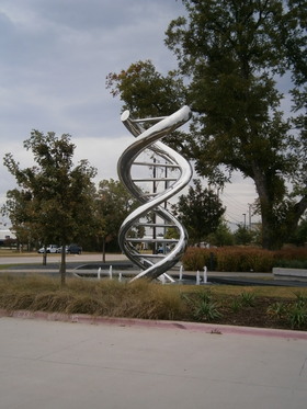 Discovery Center Helix